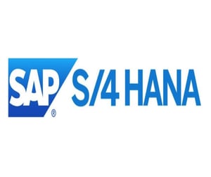 تكامل سلس مع SAP S/4HANA: تحقيق كفاءة الأعمال مع SDX